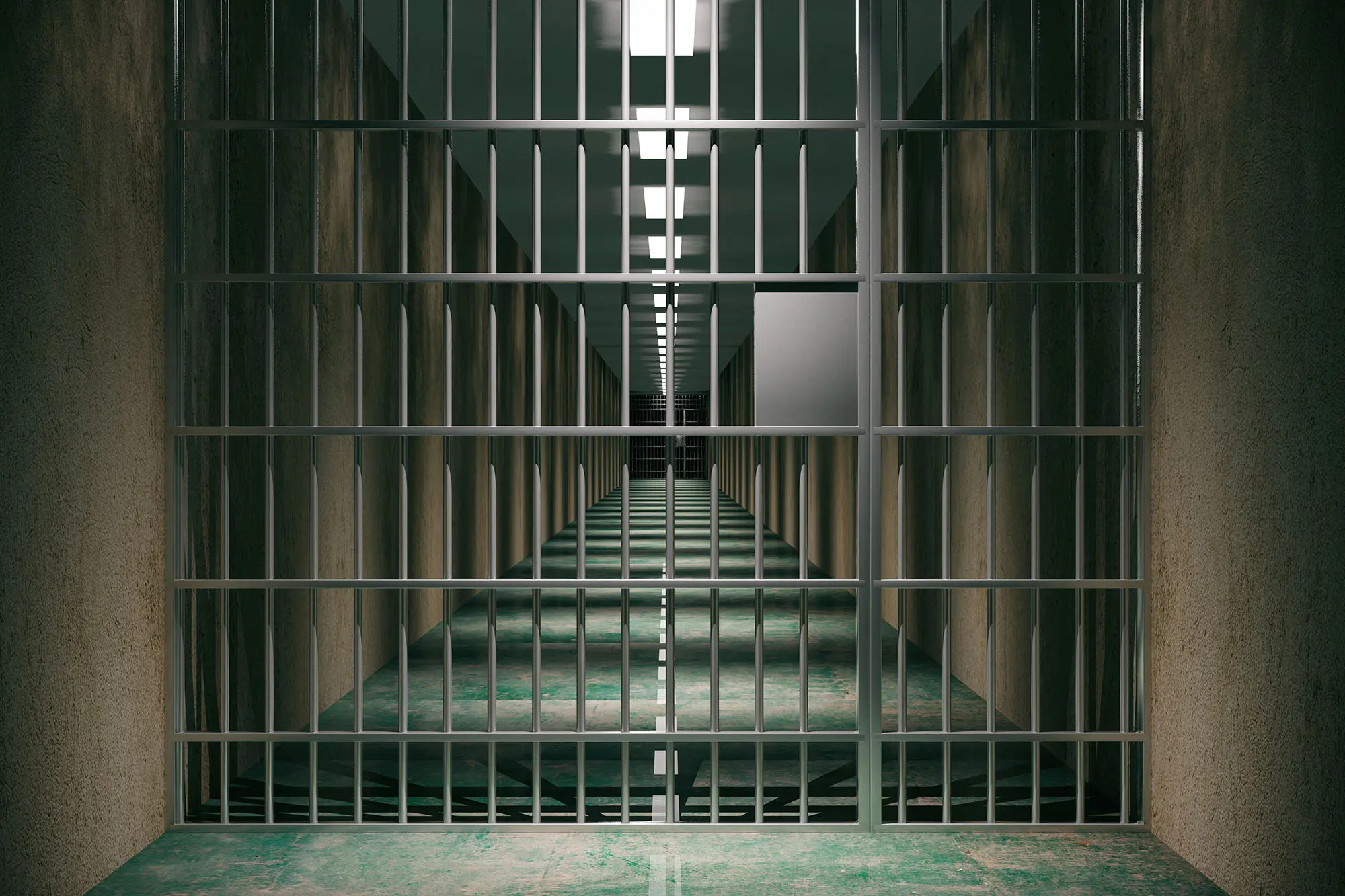 prison bars feature